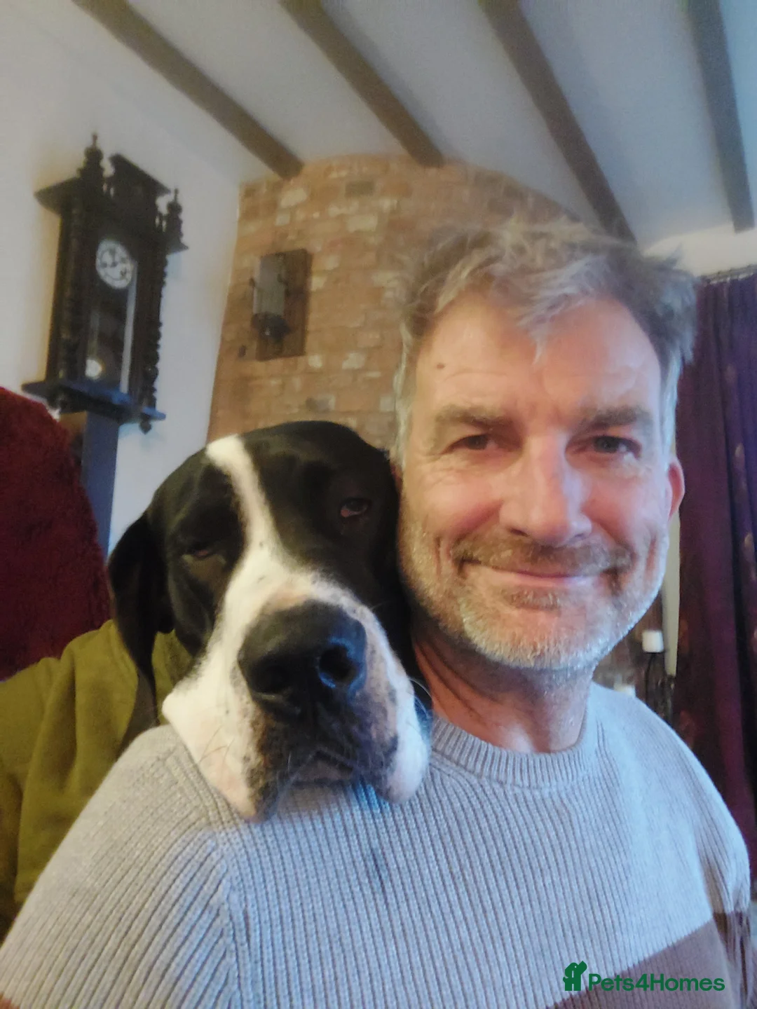 Gallery Image {{count}}