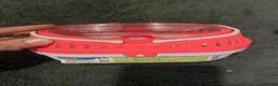 Mouse rodents for sale: 2 female mice  in Birmingham - Advert 13