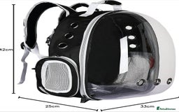 British Shorthair cats for sale: Pet Backpack Carrier Bubble  - Image 2