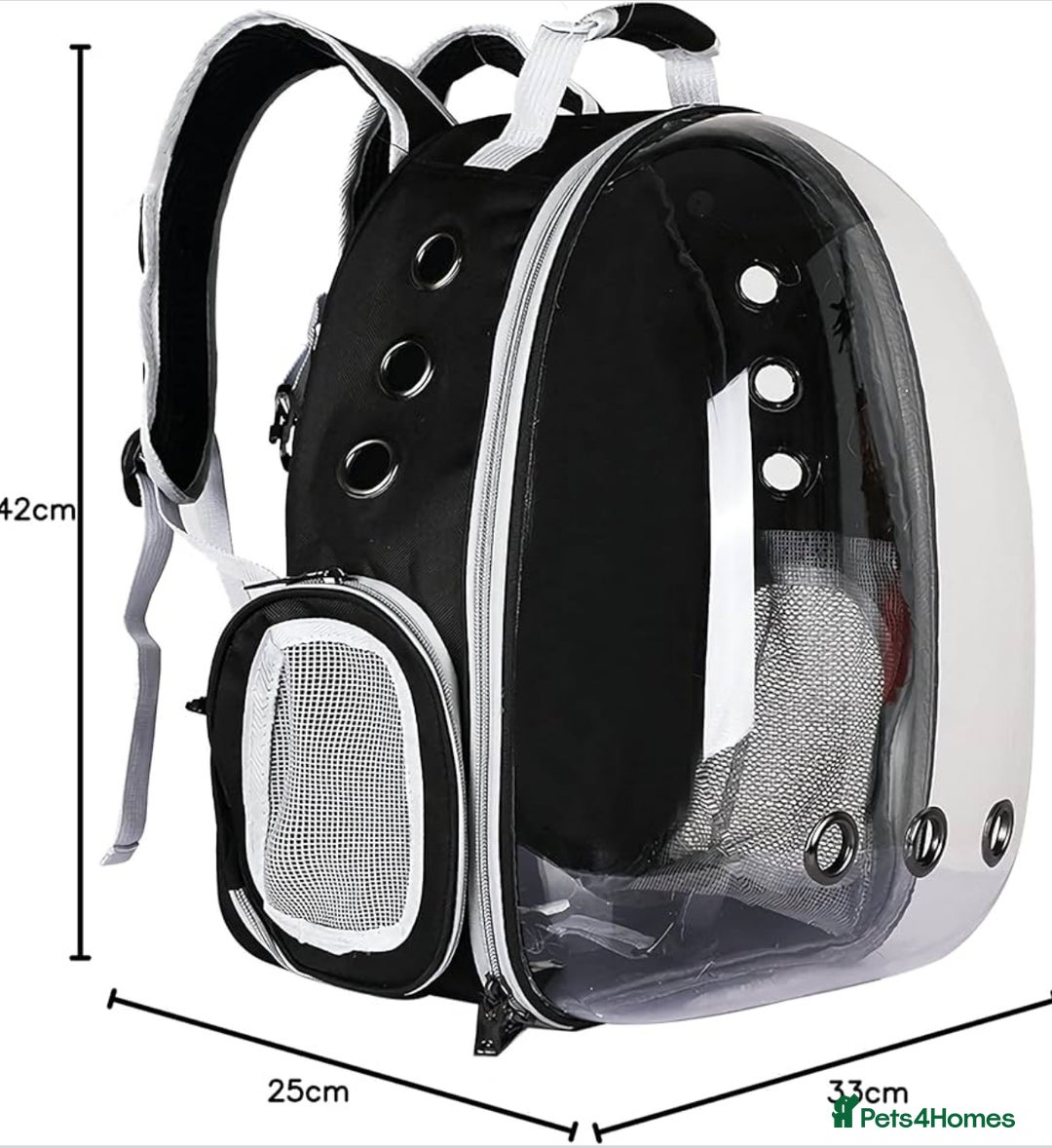 British Shorthair cats for sale: Pet Backpack Carrier Bubble  - Image 2