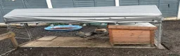Chickens poultry for sale: Chickens & cockerel & set up in Ashton-under-Lyne - Advert 7