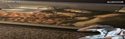Python Snake reptiles for sale: Ball python and viv in Bilston - Advert 1