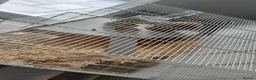 Hamster rodents for sale: Dwarf hamster with full setup and accessories  - Advert 2