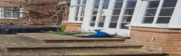 Peafowl poultry for sale: Beautiful Male Peacock For Sale - 2 1/5 years old - Advert 2
