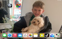 Mixed Breed dogs for sale: Cavapoochons  - Image 12
