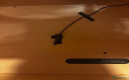 Bearded Dragon reptiles for sale: Complete bearded dragon / vivarium  - Image 8