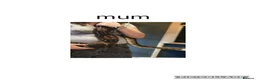 Boa Snake reptiles for sale: Baby boa constrictors for loving homes - Advert 15