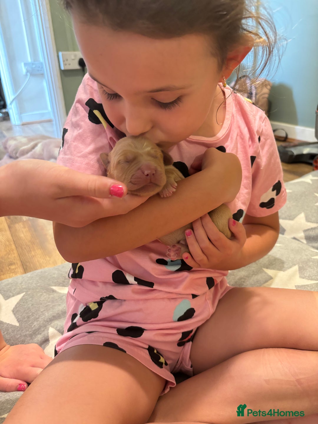 Golden Retriever dogs for sale: Beautiful Golden Retriever puppies  - Image 18