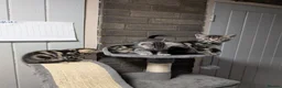 Mixed Breed cats for sale: LAST 2: British shorthair kittens - Advert 3