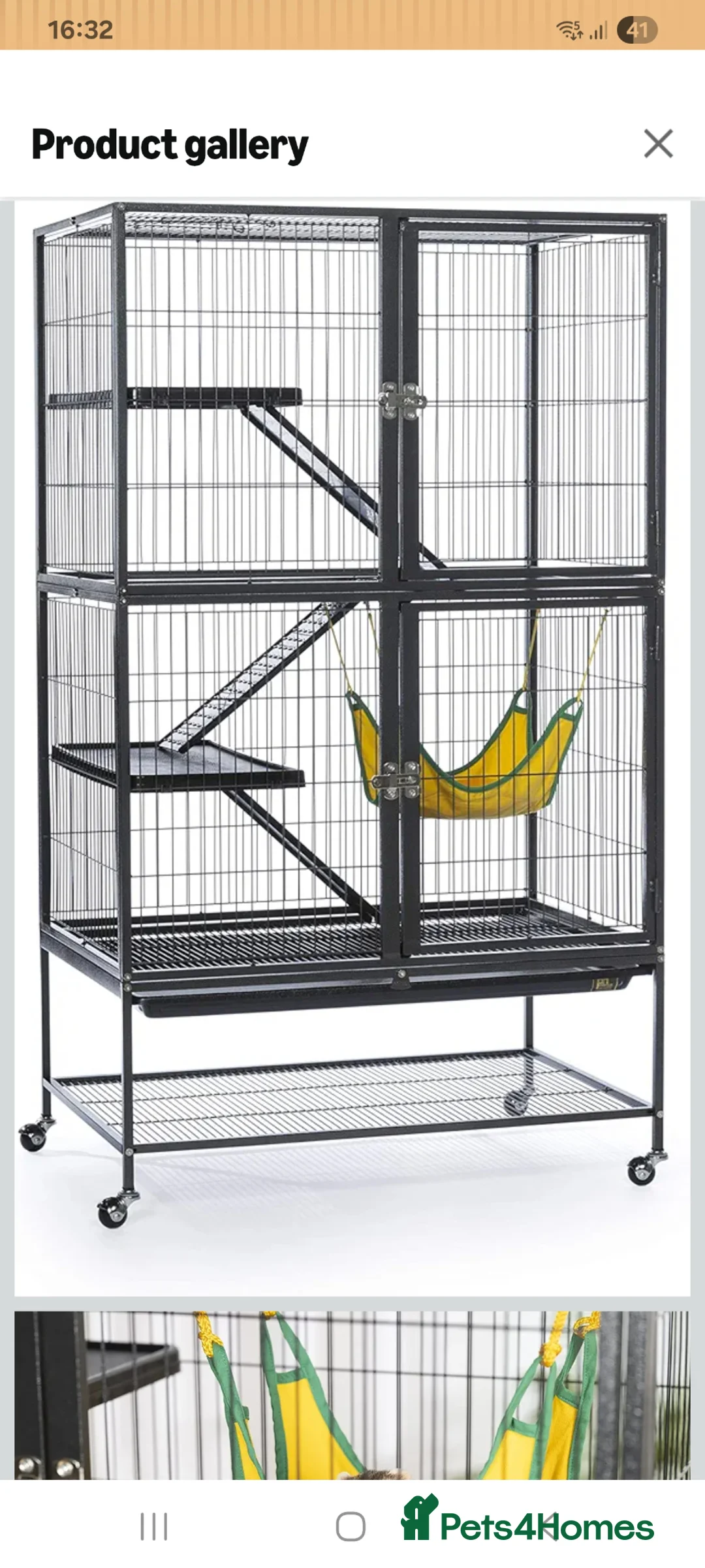 Rat rodents for sale: 2 male rats with cage  in Wolverhampton - Advert 2