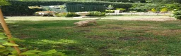 Labrador Retriever dogs for sale: Excellent KC Registered Labrador puppies  - Advert 6