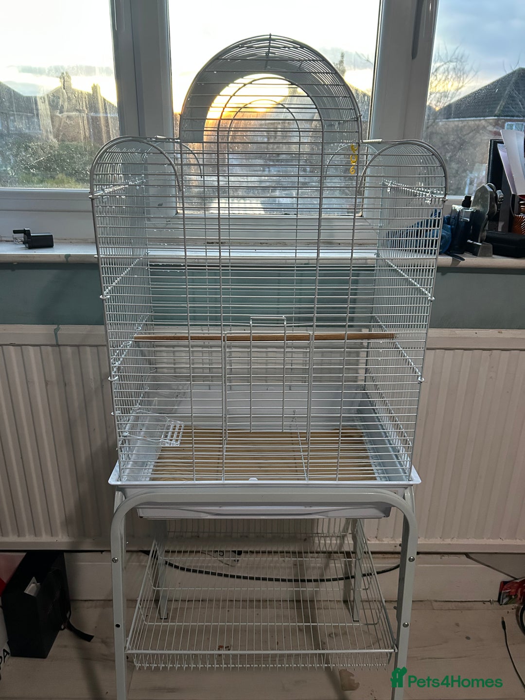 Budgerigars birds for sale: bird cage  - Advert 1