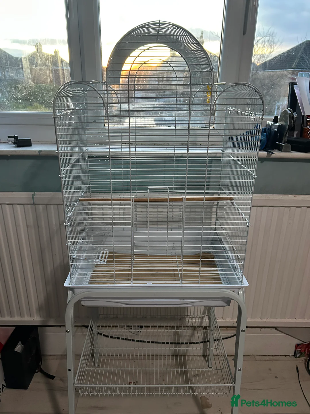 Budgerigars birds for sale: bird cage  - Advert 1