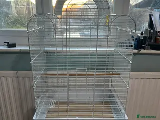 Budgerigars birds bird cage - Advert 3