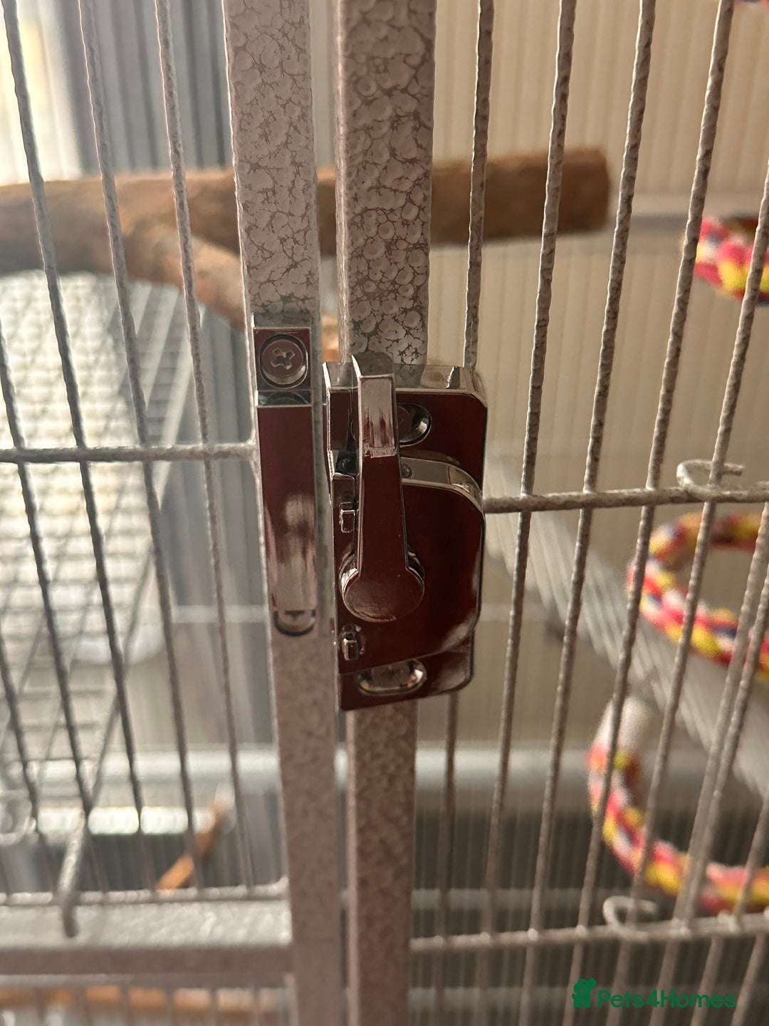Cockatiels birds for sale: Two yaheetech cages for sale bargain! in Leeds - Image 4