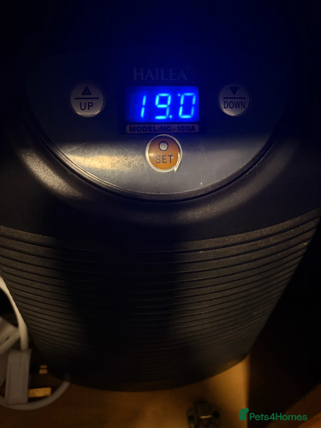 Other/Mixed Breed fish for sale: 2 Axolotls and whole set up  - Advert 7