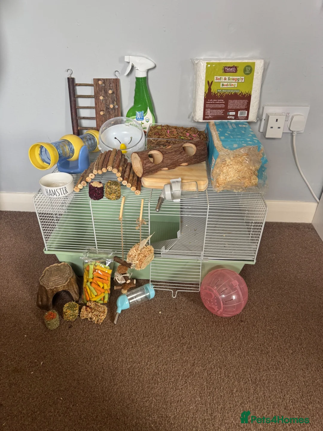Hamster rodents for sale: Russian dwarf hamster  in Market Rasen - Advert 3