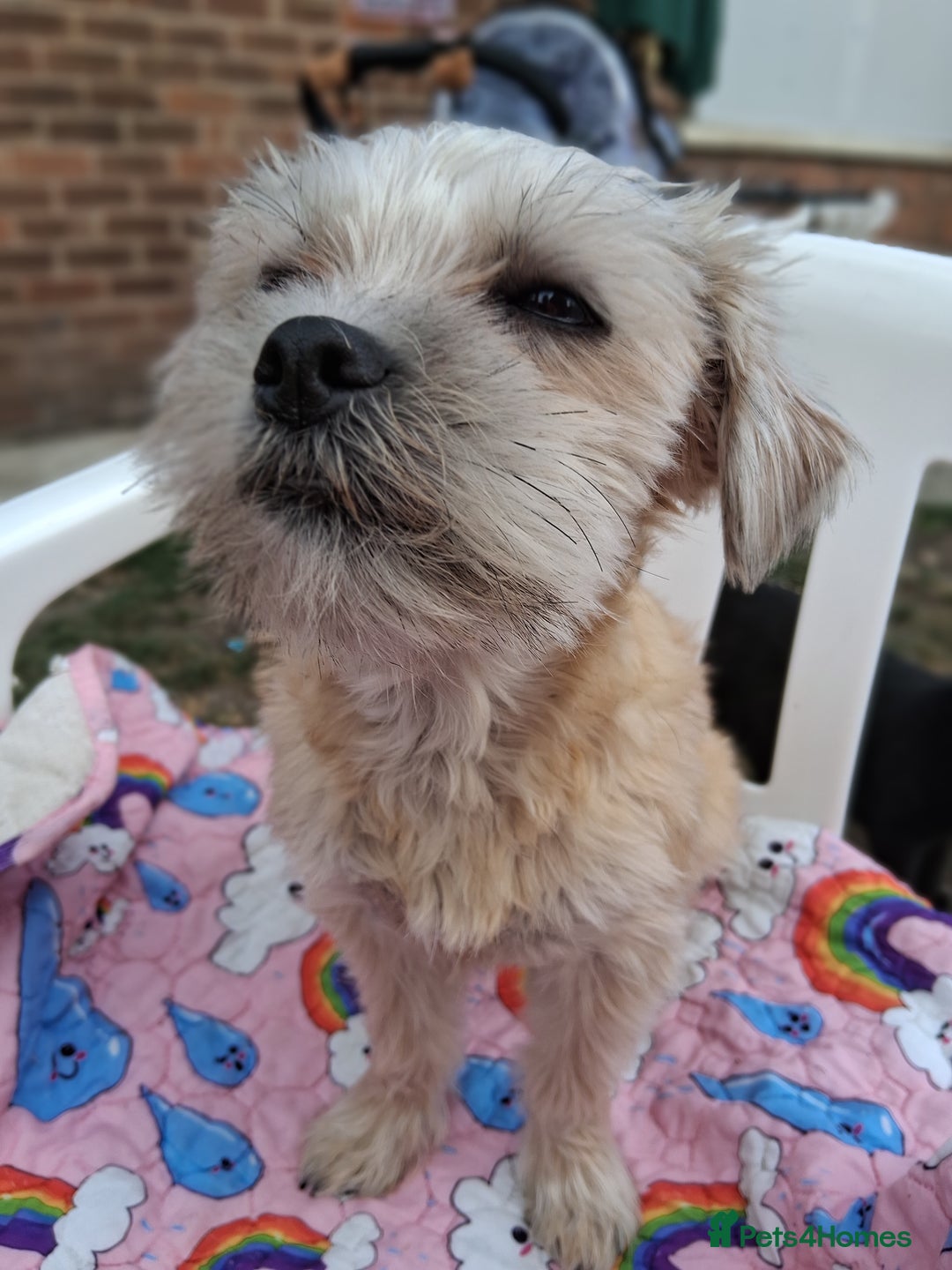 Gallery Image {{count}}