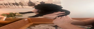 Cockapoo 4