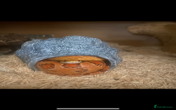 Corn Snake reptiles for sale: Lovely Corn Snake - Image 6