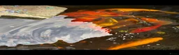 Koi Carp fish for sale: Koi carp x 4 1 grass carp 2 tri goldfish 7 fish  - Advert 1