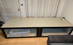 Python Snake reptiles for sale: Snake for sale - Image 5