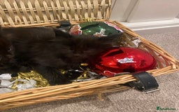 Maine Coon cats for sale: ✨pedigree maine coon kittens - Extra Large lines ✨ - Advert 6