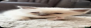 Light pink collar 