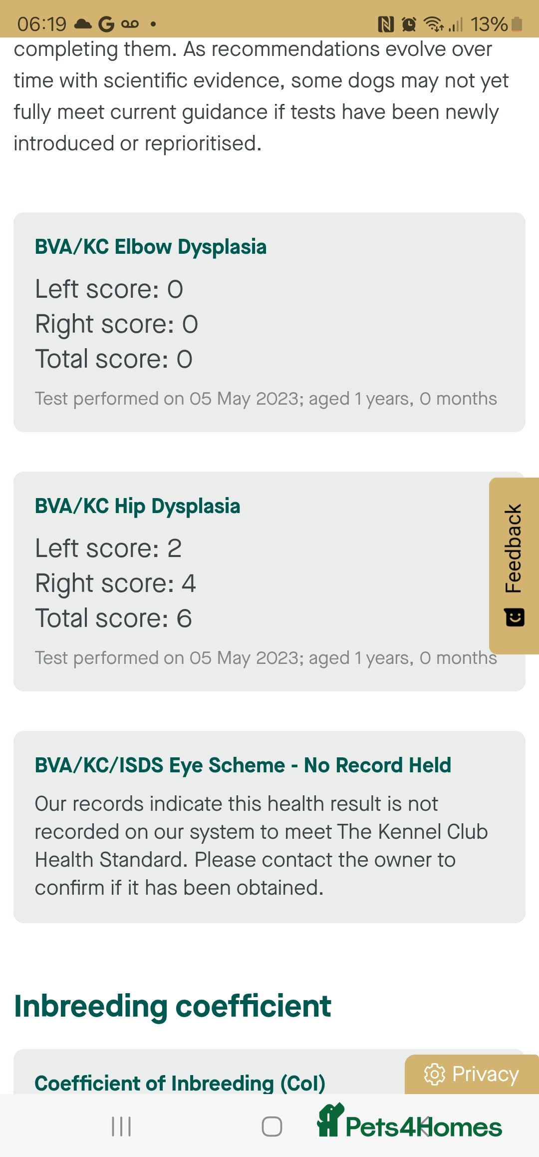 Labrador Retriever dogs for sale: Exceptional Labrador Retriever Puppies - Advert 15