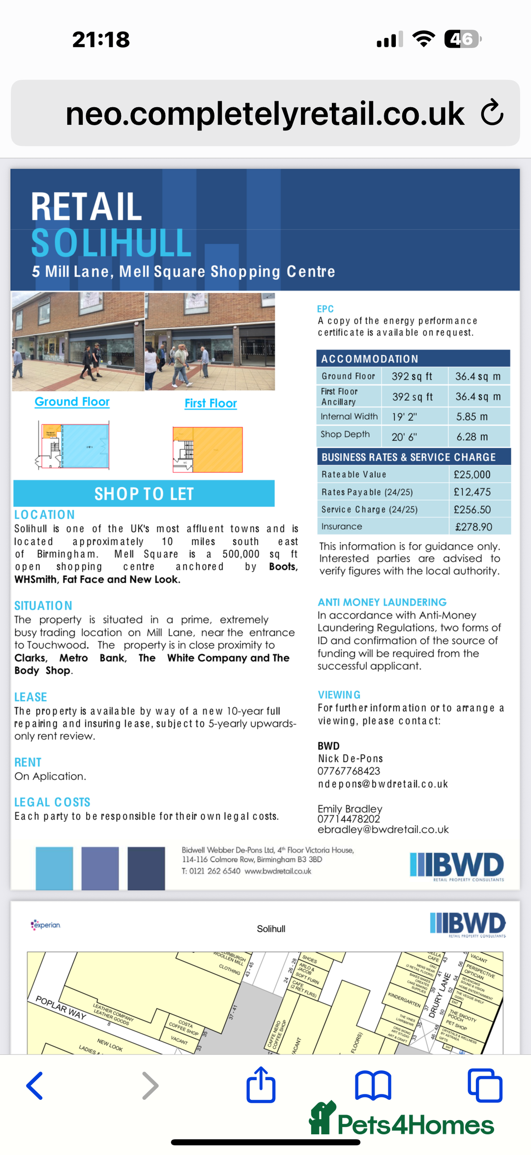 British Shorthair cats for sale: Price reduced Reg gccf Liliac BSH two female  - Image 18