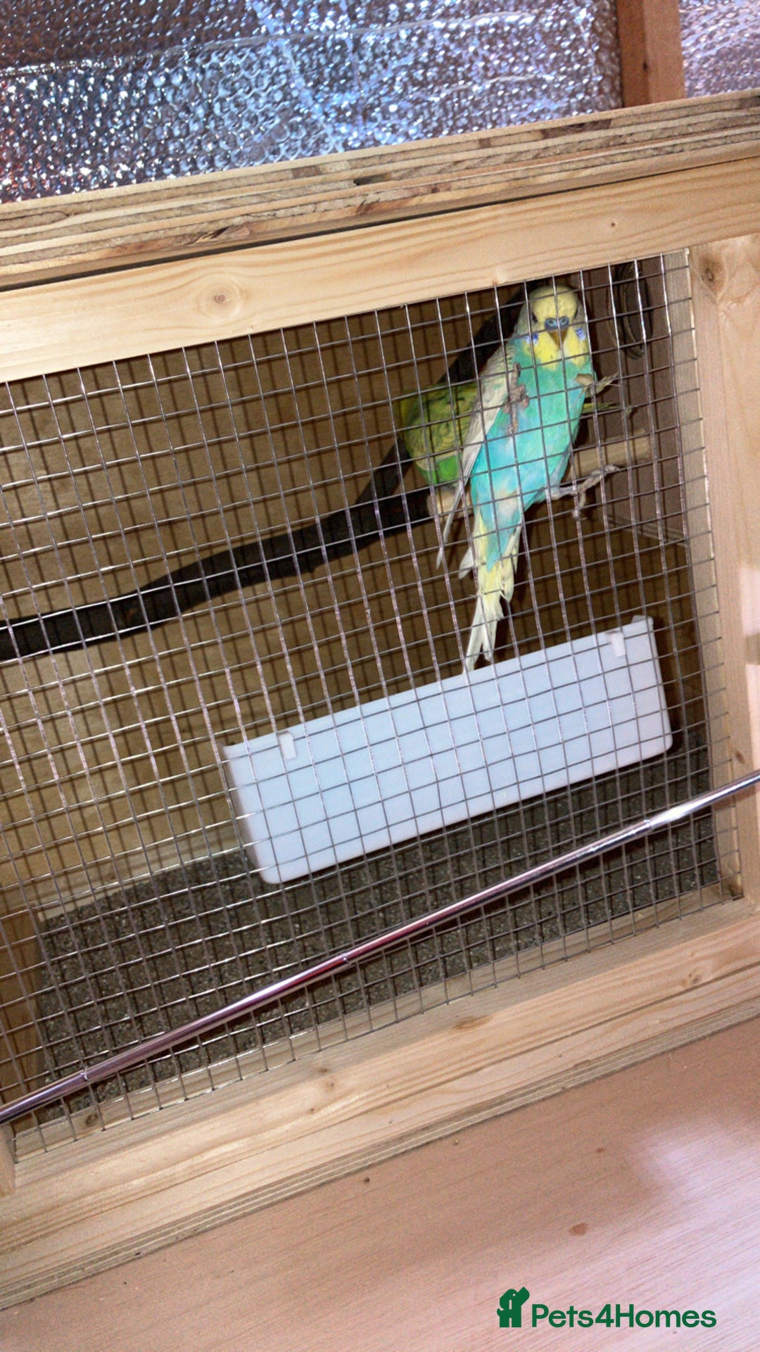 Gallery Image {{count}}