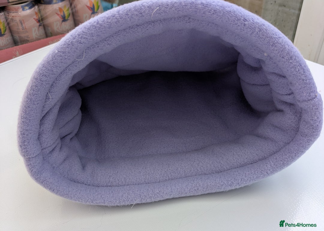 Guinea Pig rodents for sale: Guinea pig/rabbit snuggle sock/bedding  - Image 6