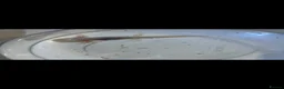 Axolotl reptiles for sale: Baby axolotls in Birmingham - Advert 6