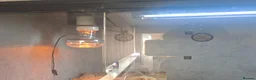Bearded Dragon reptiles for sale:  2 Male bearded dragon + 1 female dragon  - Advert 12