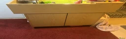 Hermann Tortoise reptiles for sale: Female tortoise and full set up  in Bournemouth - Advert 2