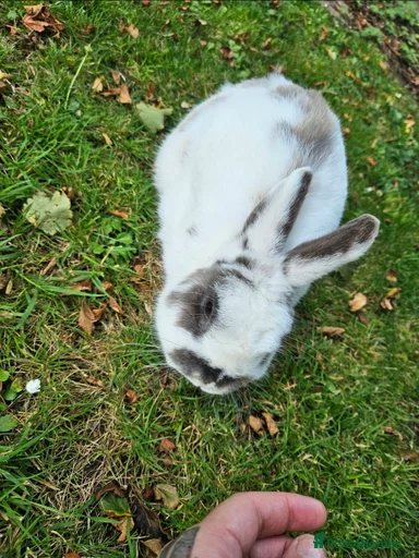 Gallery Image {{count}}