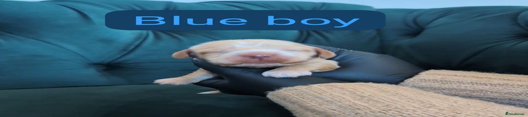 Blue boy (sky)