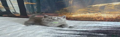 British Shorthair 2 Green 💚 