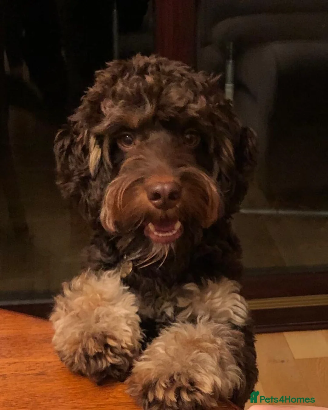 Gallery Image {{count}}