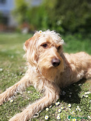 Gallery Image {{count}}