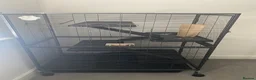 Rat rodents for sale: Rat cage  in Witney - Advert 2