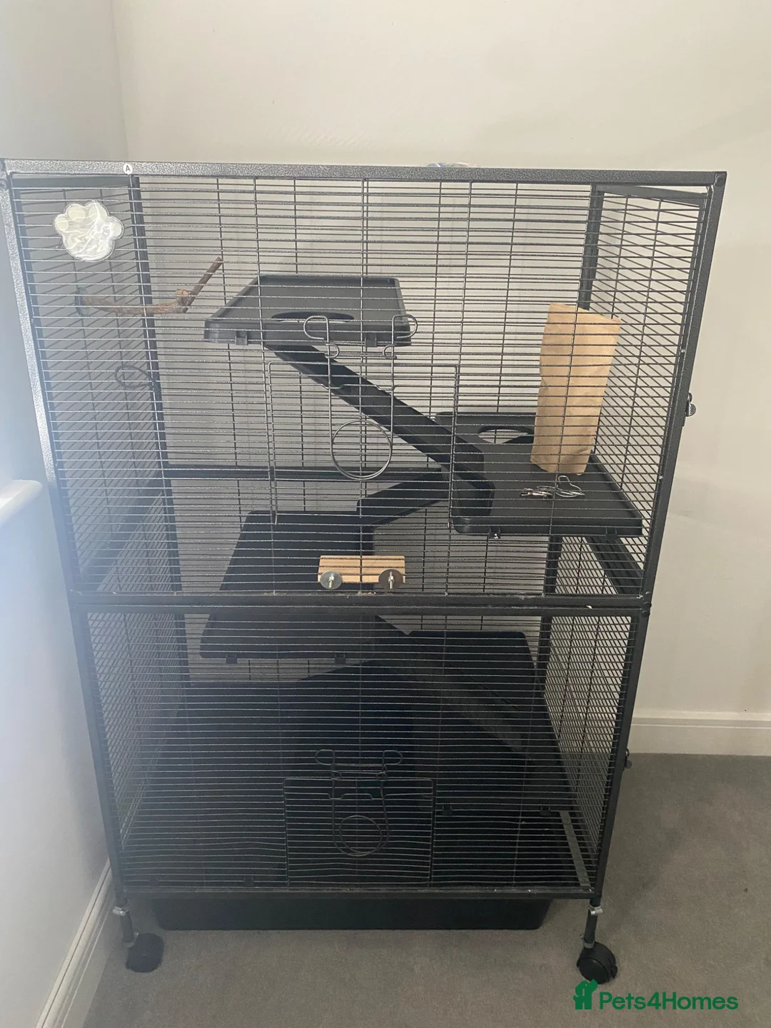 Rat rodents for sale: Rat cage  in Witney - Advert 2