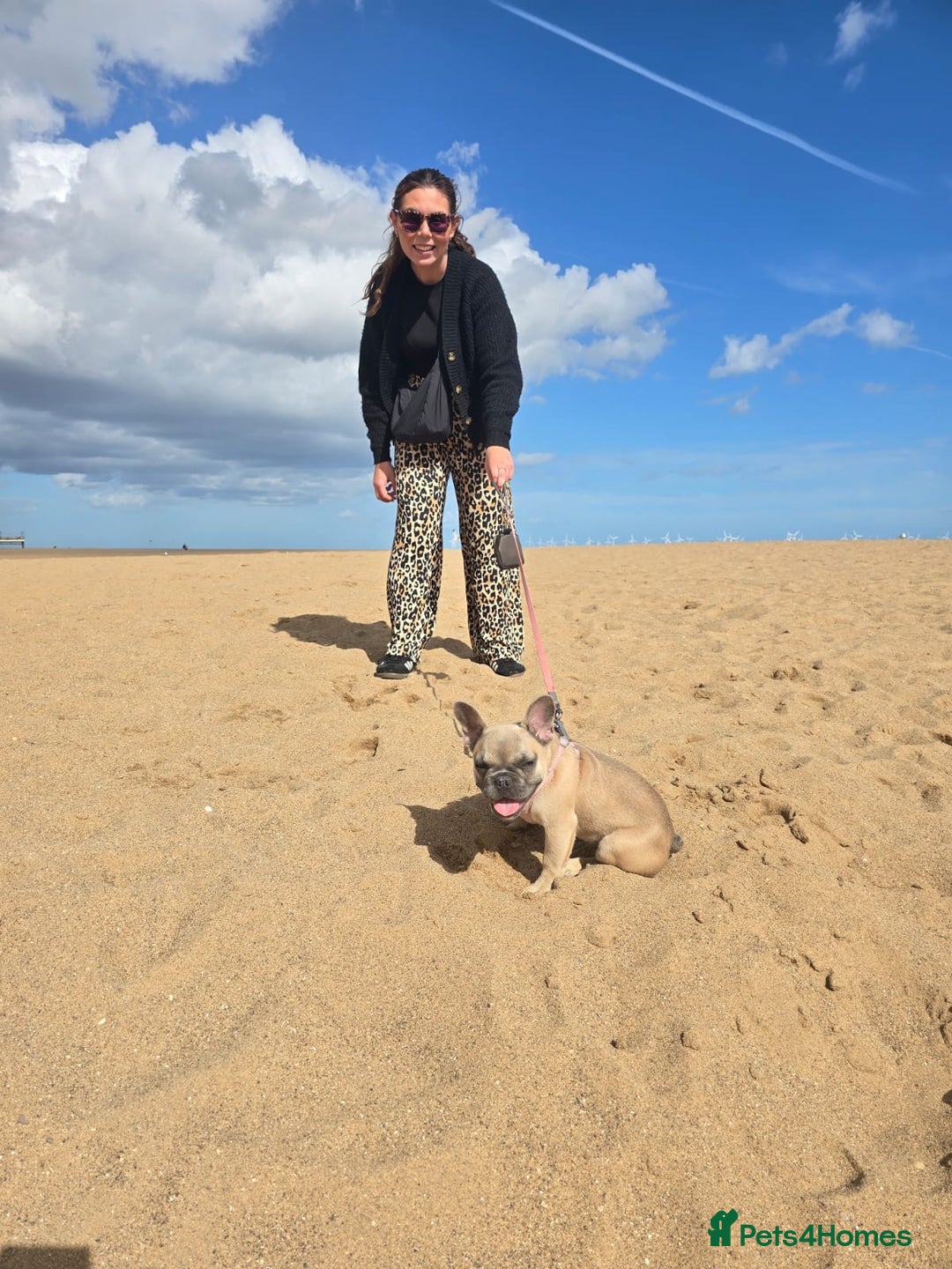 French Bulldog dogs for sale: One adorable female 🩷 French Bulldog Puppy  - Image 24