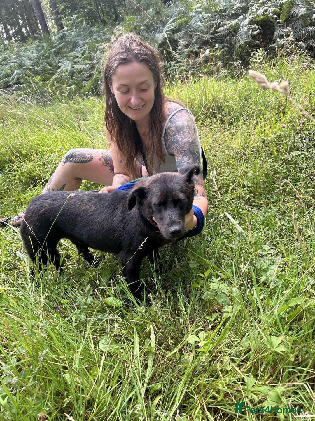 Mixed Breed dogs for adoption: Blossy - Norwich Norfolk  - Image 13