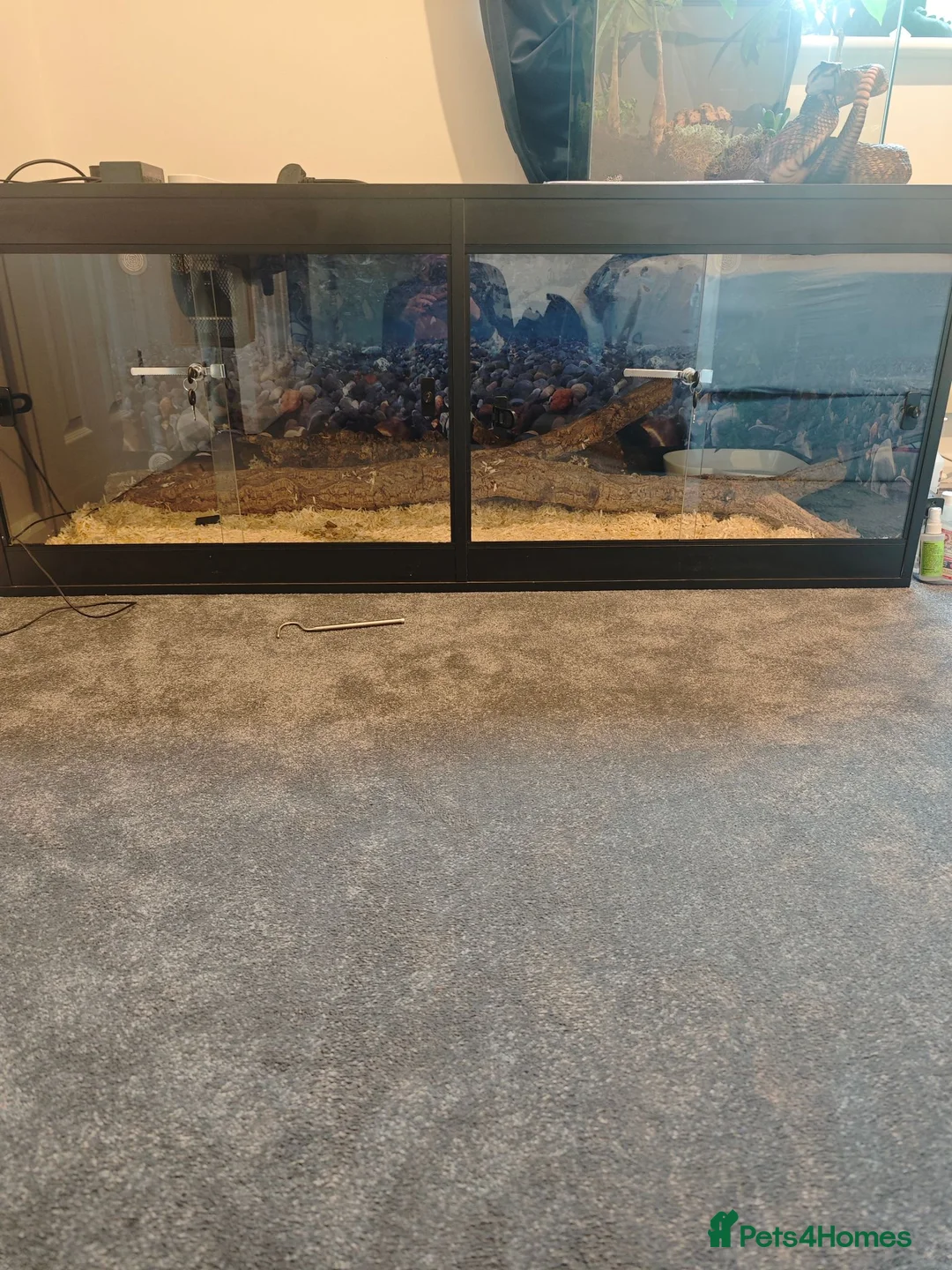 Python Snake reptiles for sale: 5 foot tank for sale  - Advert 2