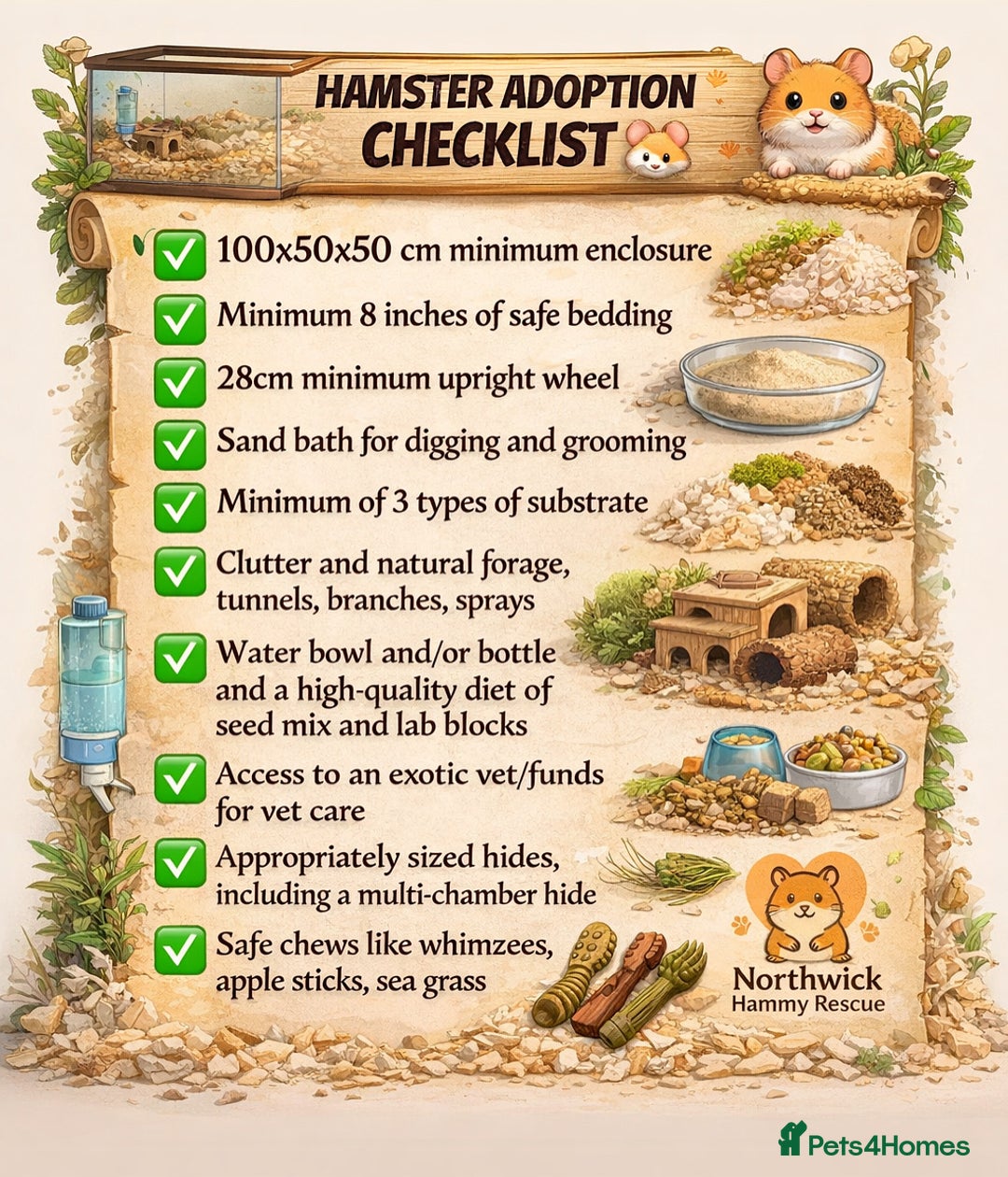 Hamster rodents for sale: Meet Peaches for adoption - Advert 5