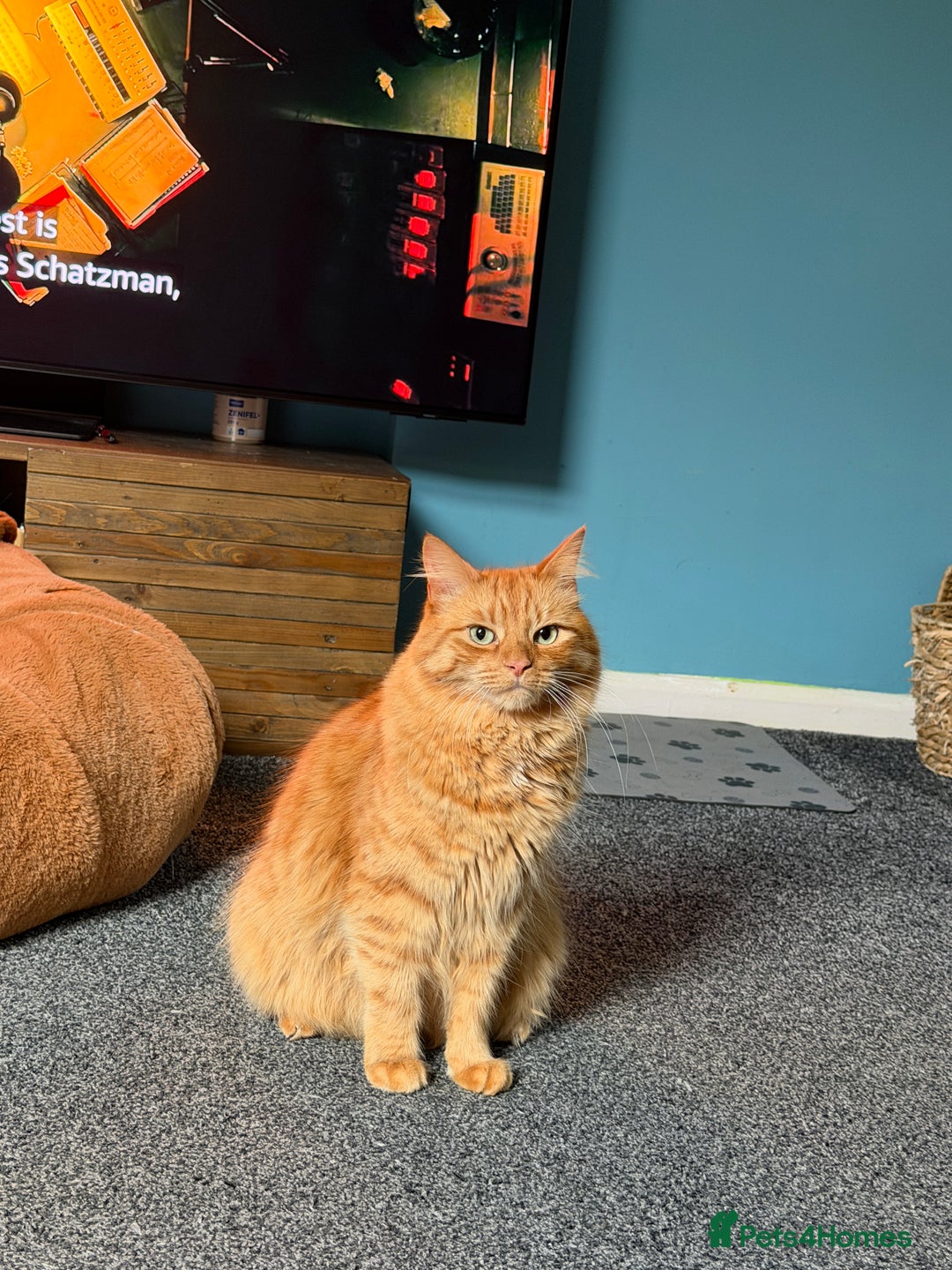 Gallery Image {{count}}