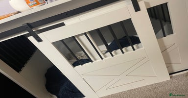 Mixed Breed dogs - Advert 4