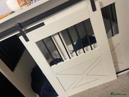 Mixed Breed dogs - Advert 4