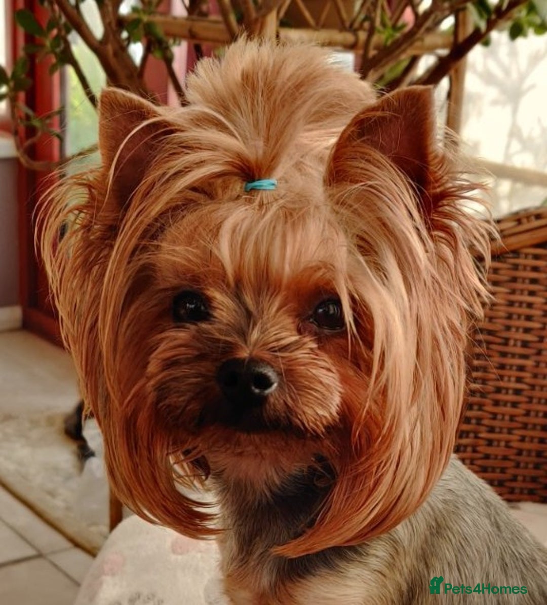 Gallery Image {{count}}